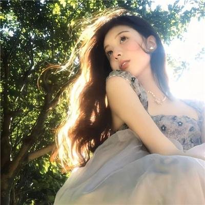 我的璀璨生涯海报